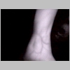 Setup1_wrist12_8in.bmp