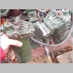 SL733384.JPG