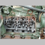 SL733396.JPG