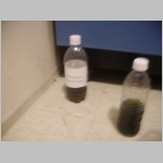 PICT0093.JPG