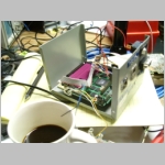 SL733561.JPG