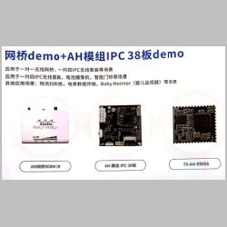 huge_IC_models.JPG