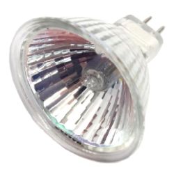 bulb3.jpg