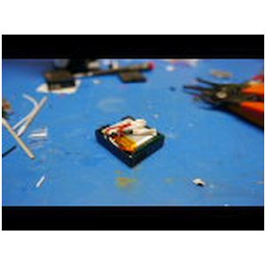 P1650182.JPG