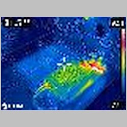 FLIR0410.jpg