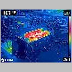 FLIR0426.jpg