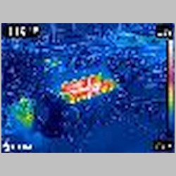 FLIR0436.jpg